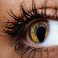 List of Eye Diseases