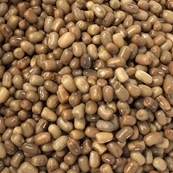 List of Pulses in India