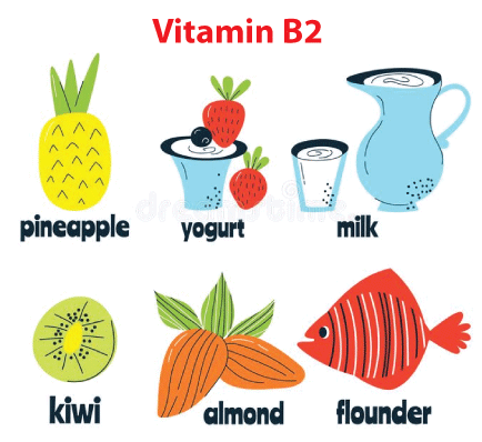 List of Vitamins and their Functions