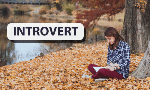 Introvert Meaning