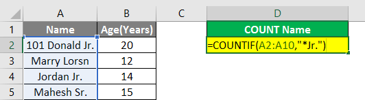 Count Names in Microsoft Excel