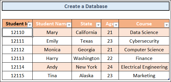 Creating a Database in Excel