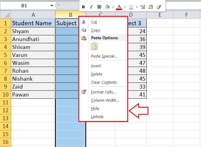 Excel Hide Shortcut javatpoint