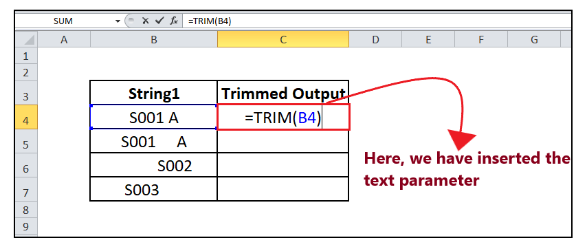Excel TRIM Function