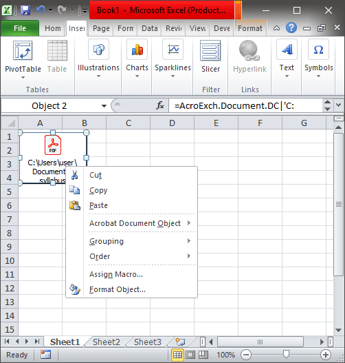 How To Insert PDF in MS Excel