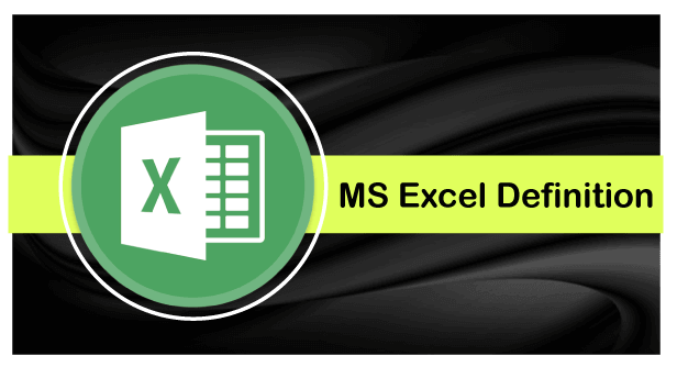 MS Excel Definition