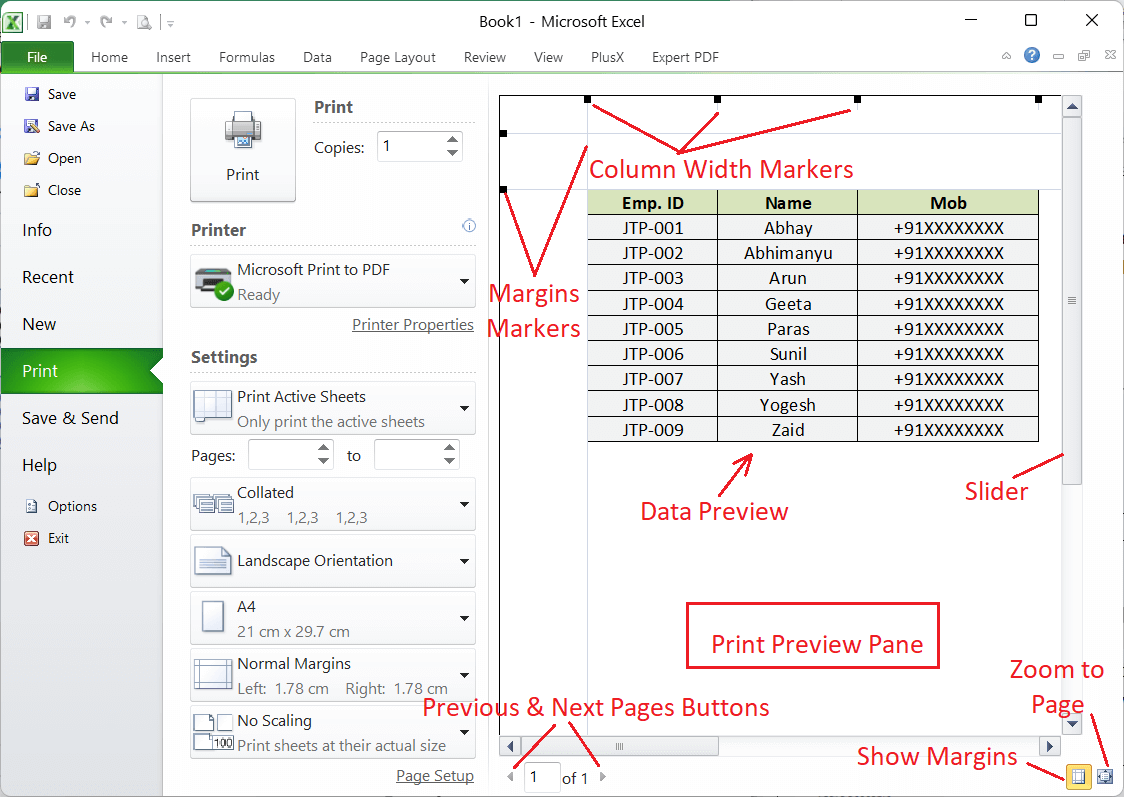 Print Worksheet in Excel