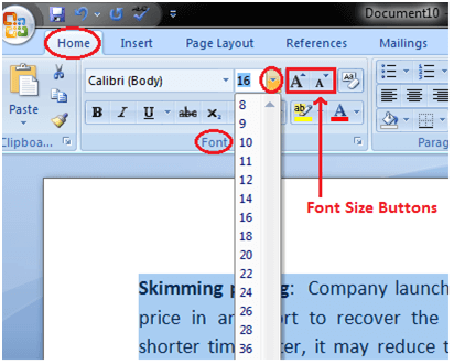 font size in ms word for assignment