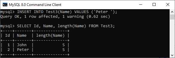 MySQL VARCHAR FutureFundamentals