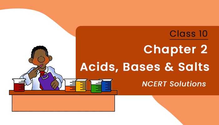 Class 10 NCERT Solutions Science Chapter 2 Acids, Bases and Salts