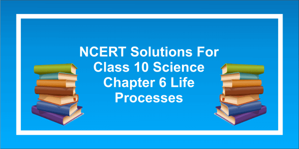 NCERT Science Solutions for Class 10 Chapter 6: Life Processes
