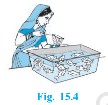NCERT Solutions Class 10th Maths Chapter 15: Probability