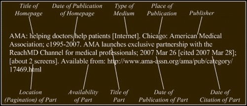 How to cite a website