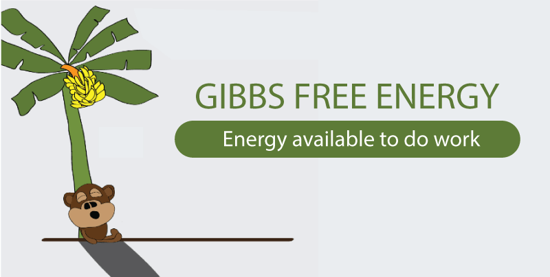 Gibbs Energy