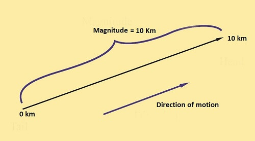 Magnitude in Physics