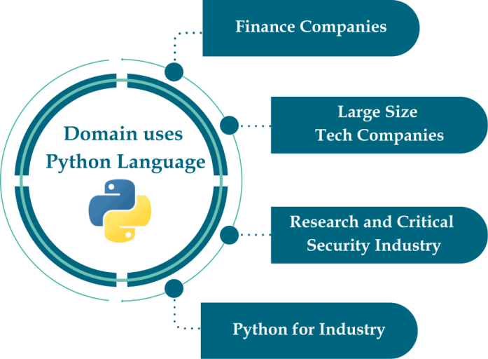 Companies that Use Python