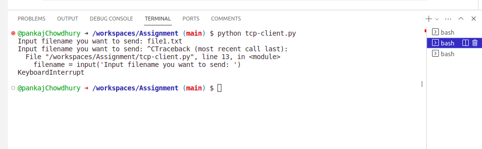 File Transfer using TCP Socket in Python