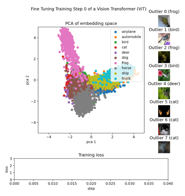 How to Create an Animation of the Embeddings During Fine-Tuning