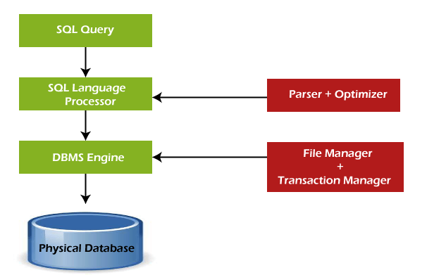 SQL Tutorial – My Blog