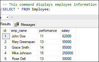 SQL Server Comments