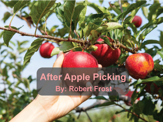 After Apple Picking Summary