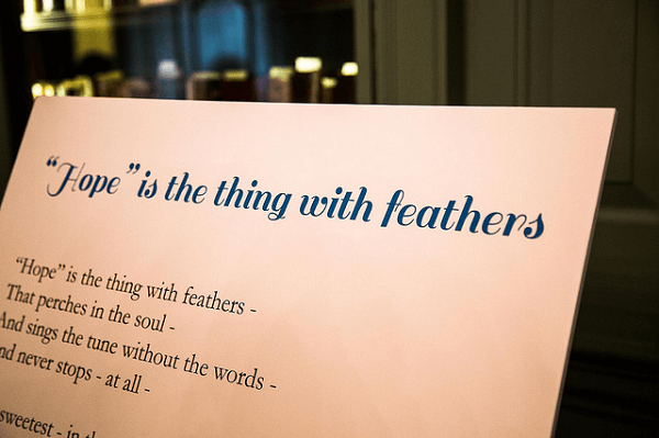Hope is the Thing with Feathers Summary