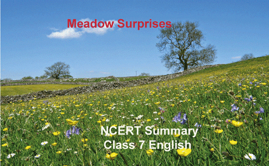 Meadow Surprises Summary Class 7 English Poem
