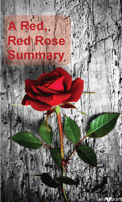 A Red, Red Rose Summary