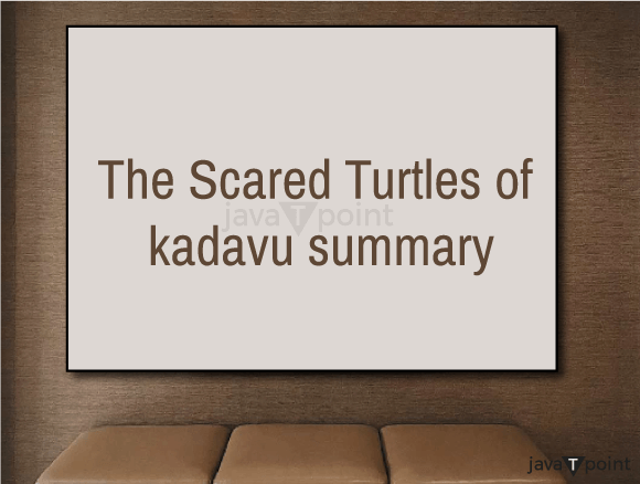 The Scared Turtles of Kadavu Summary