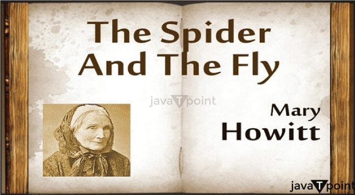 The Spider and the Fly Summary