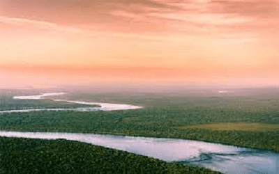 Top 10 Longest Rivers in The World