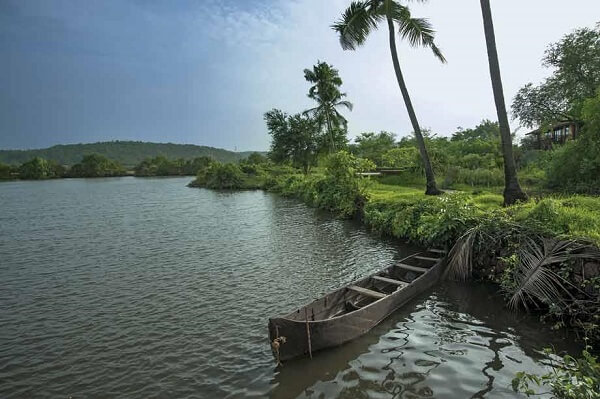 Top 10 Places to Visit in Goa