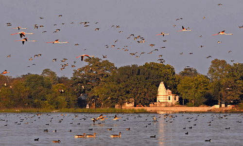 Top 10 Places to visit in Udaipur