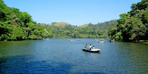 Top 10 Places to Visit in Wayanad