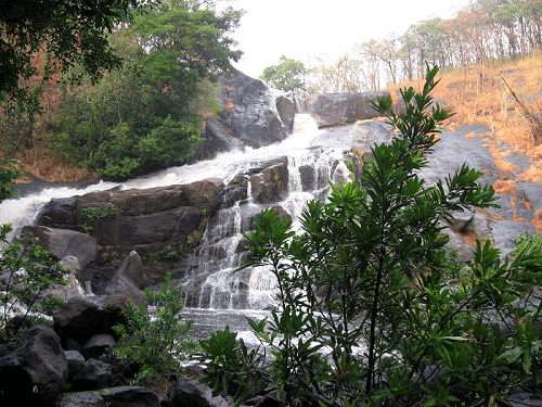 Top 10 Places to Visit in Wayanad
