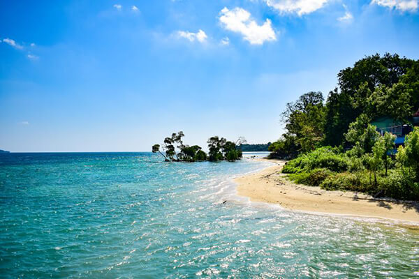 Tourist Places In Andaman