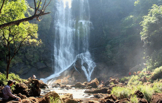 Tourist Places in Chikmagalur