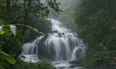 Tourist places in Kerala