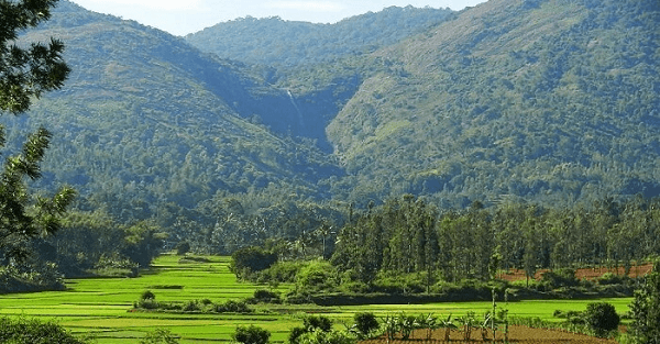 Tourist Places in Kolli hills