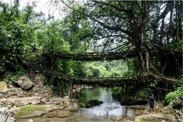 Tourist Places in Meghalaya