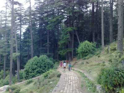 Tourist Places in Patnitop
