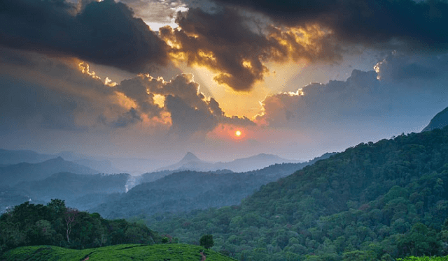 Tourist Places in Thekkady