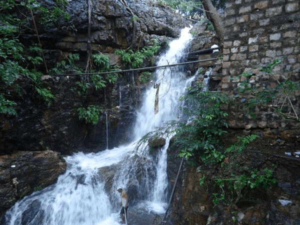 Tourist Place in Tirupati