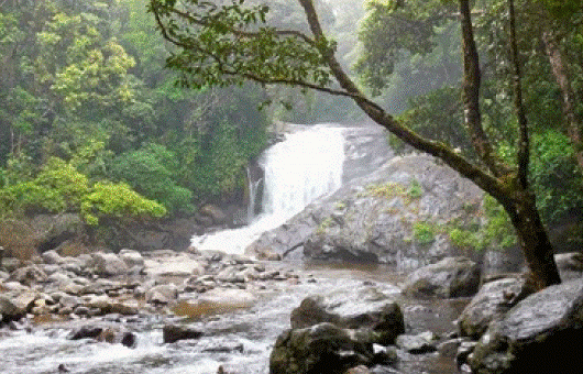 Tourist Places in Wayanad