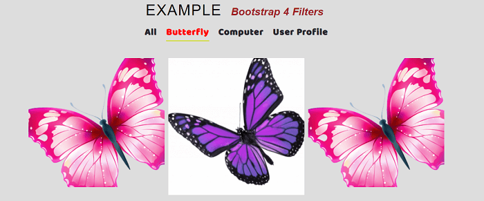 Bootstrap 4 Filters