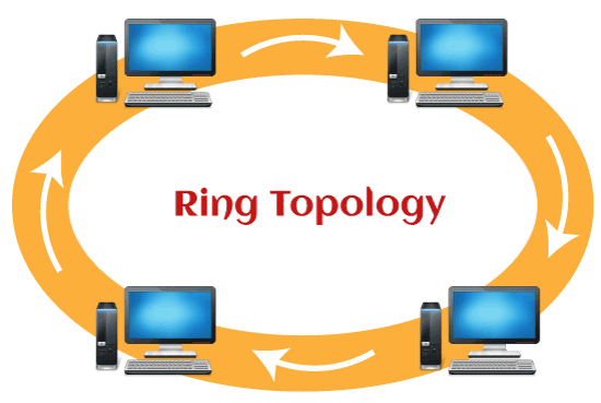 Difference between the Bus topology and Ring topology