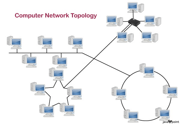 Computer Network Topologies