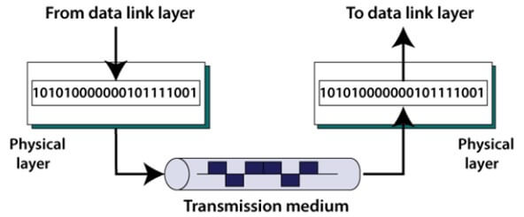 Functions, Advantages and Disadvantages of the Physical Layer