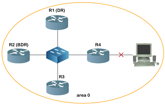 OSPF Protocol
