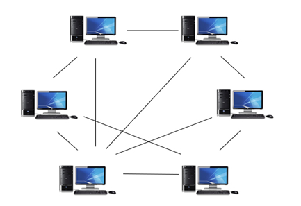 Computer Network Architecture